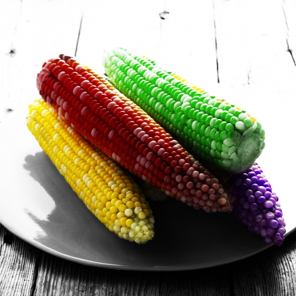 Creation of Rainbow Corn: Step 2